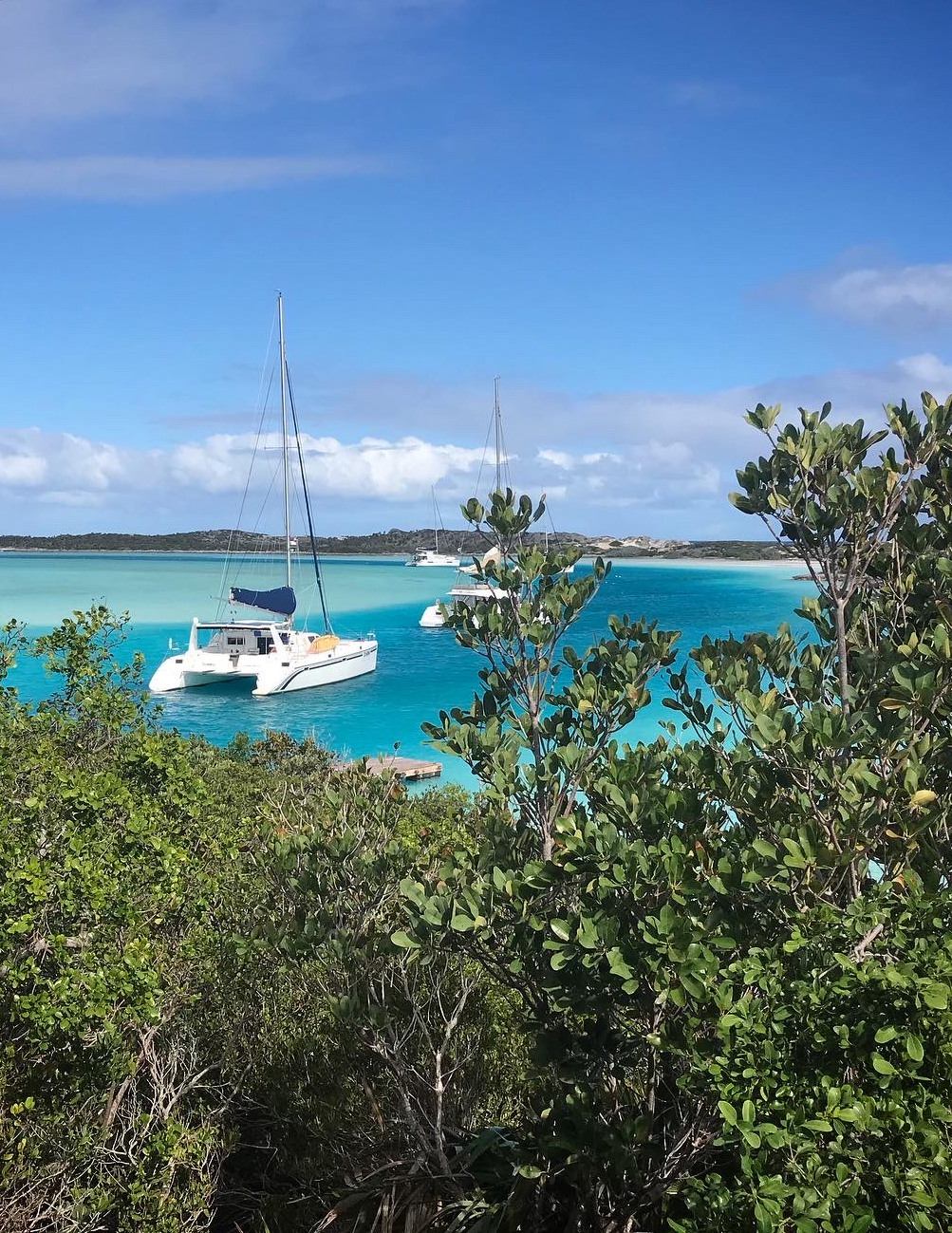 warderick-oac Ocean Adventure Cat on a mooring in clear blue water, framed by trees