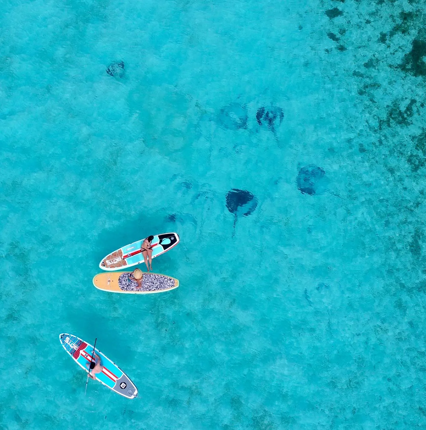 lee-stocking-stingrays Aerial photo of 3 paddleboarders floating over a fever of stingrays.